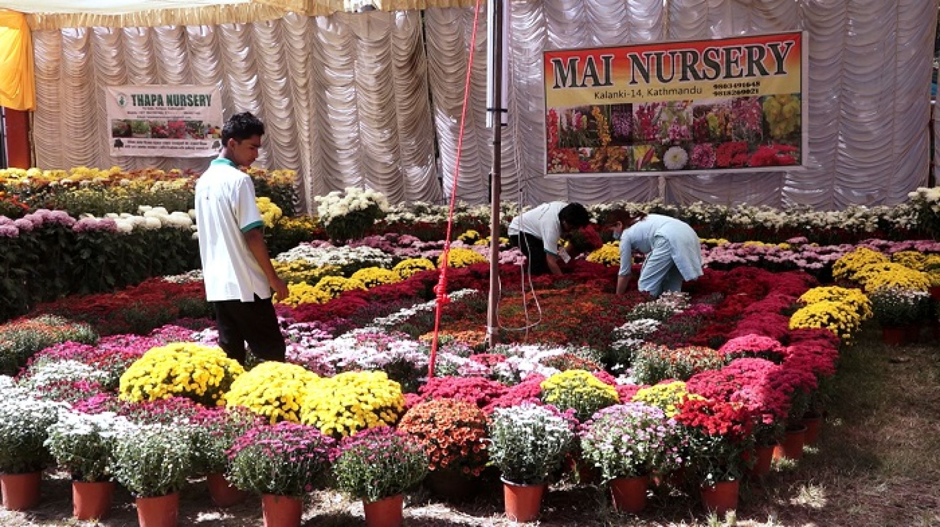 गोदावरी पुष्प मेला २०८२ सम्पन्न, पाँच दिनमा एक करोड ३२ लाखको कारोबार